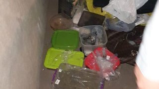 One of the Most Massive Cases on Illegal Turnover of Drugs in Armenia and Drug Smuggling Disclosed; Preliminary Investigation on 7 Members of the Criminal Group Completed (photos)